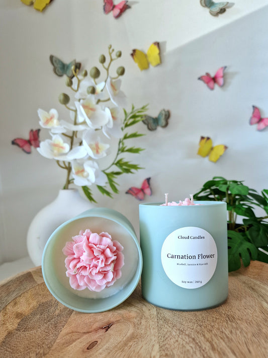 Carnation flower