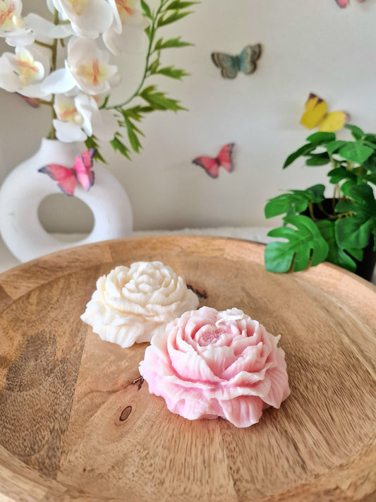 Peony Blossom