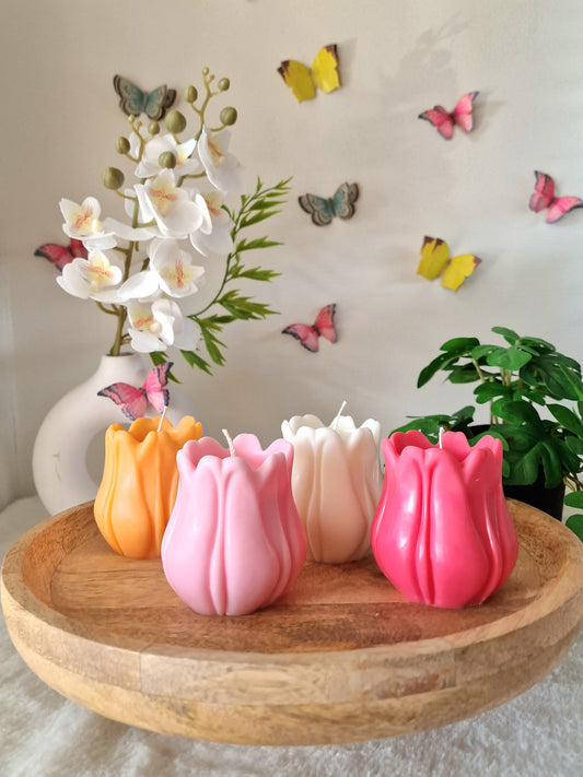 Tulip