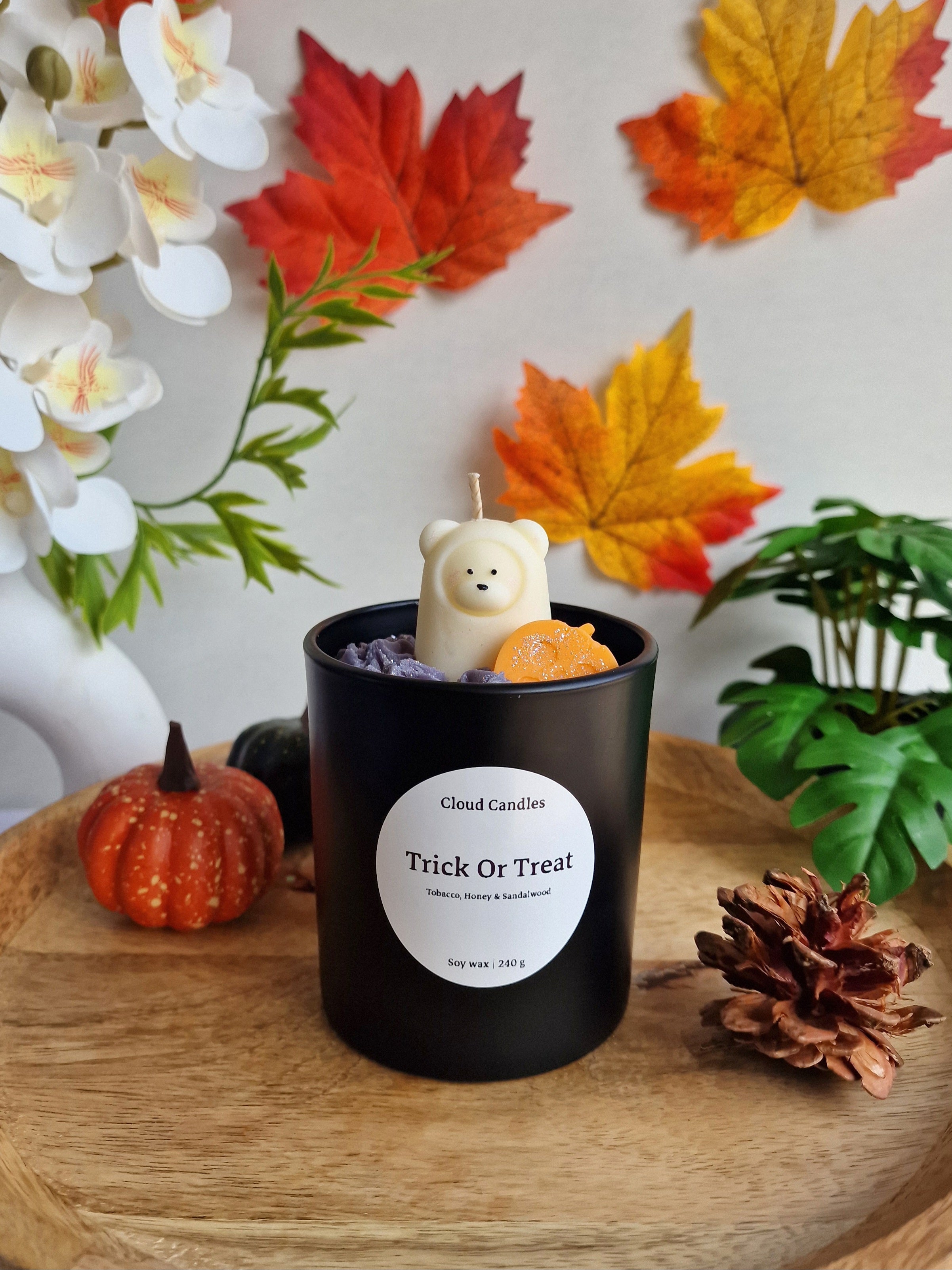 Teddy's Trick or Treat