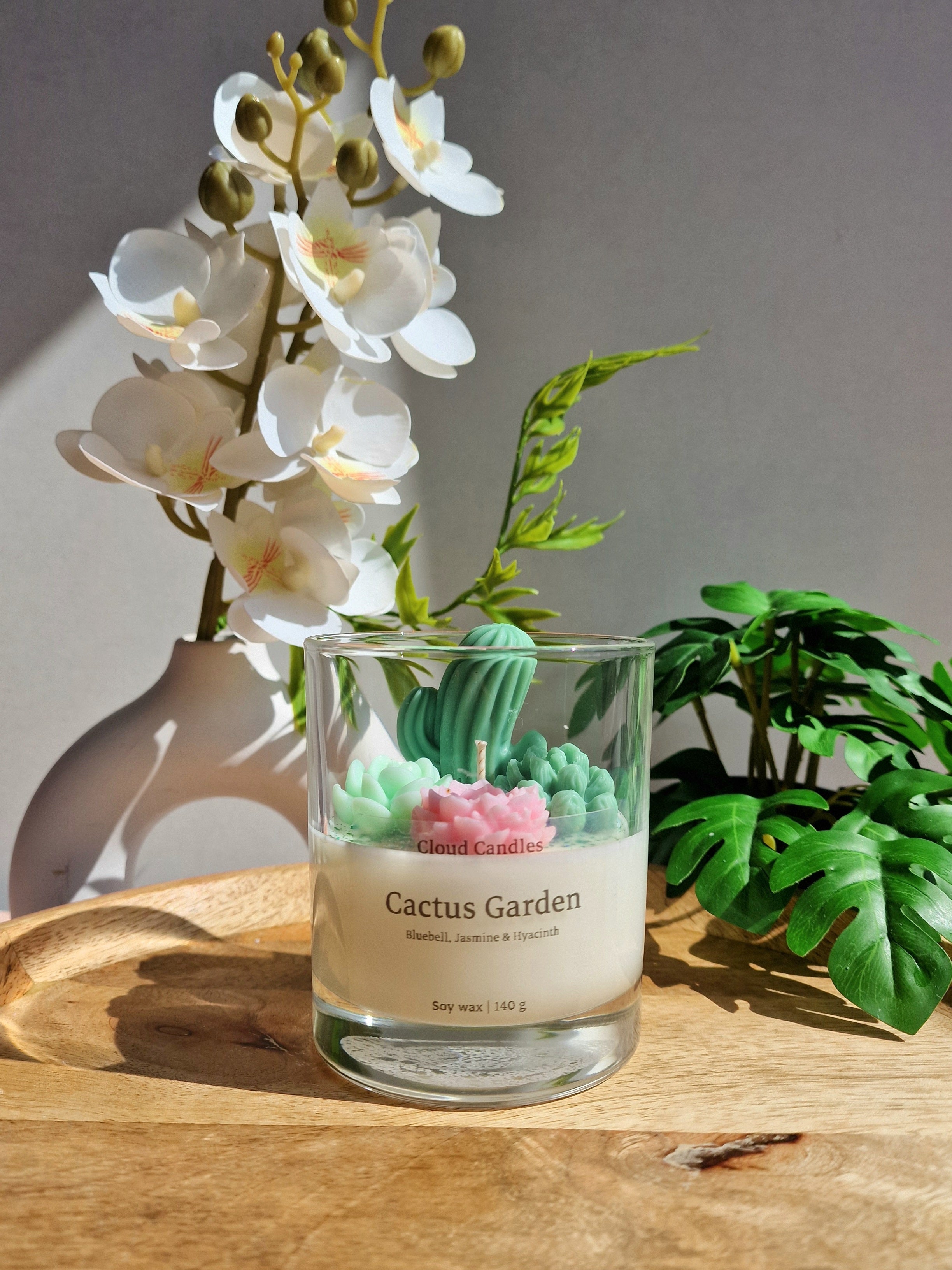 Cactus Garden