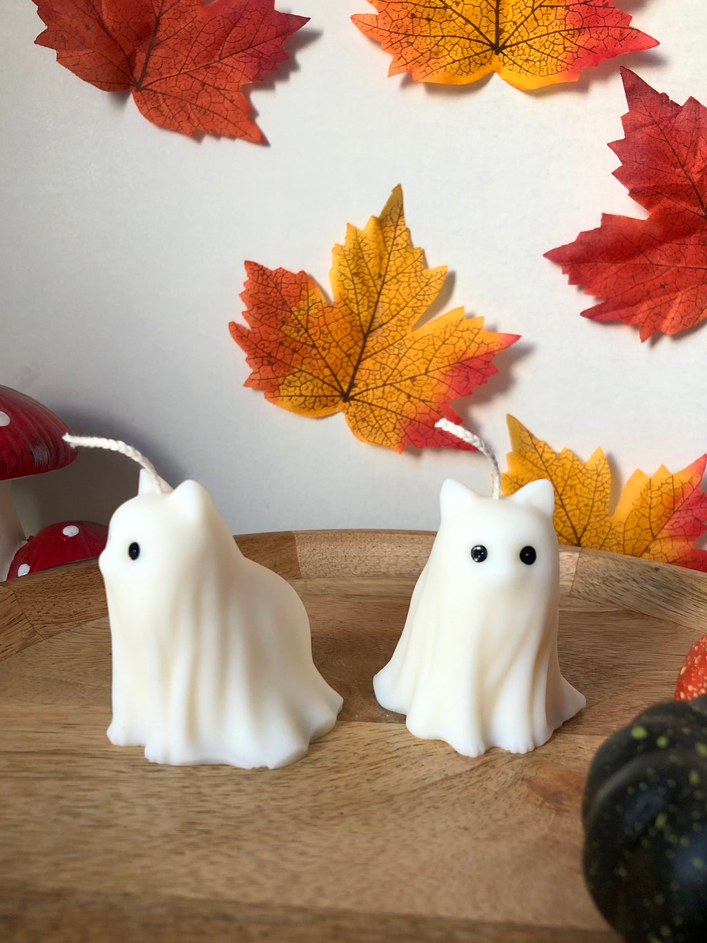 Sammy Ghost Cat