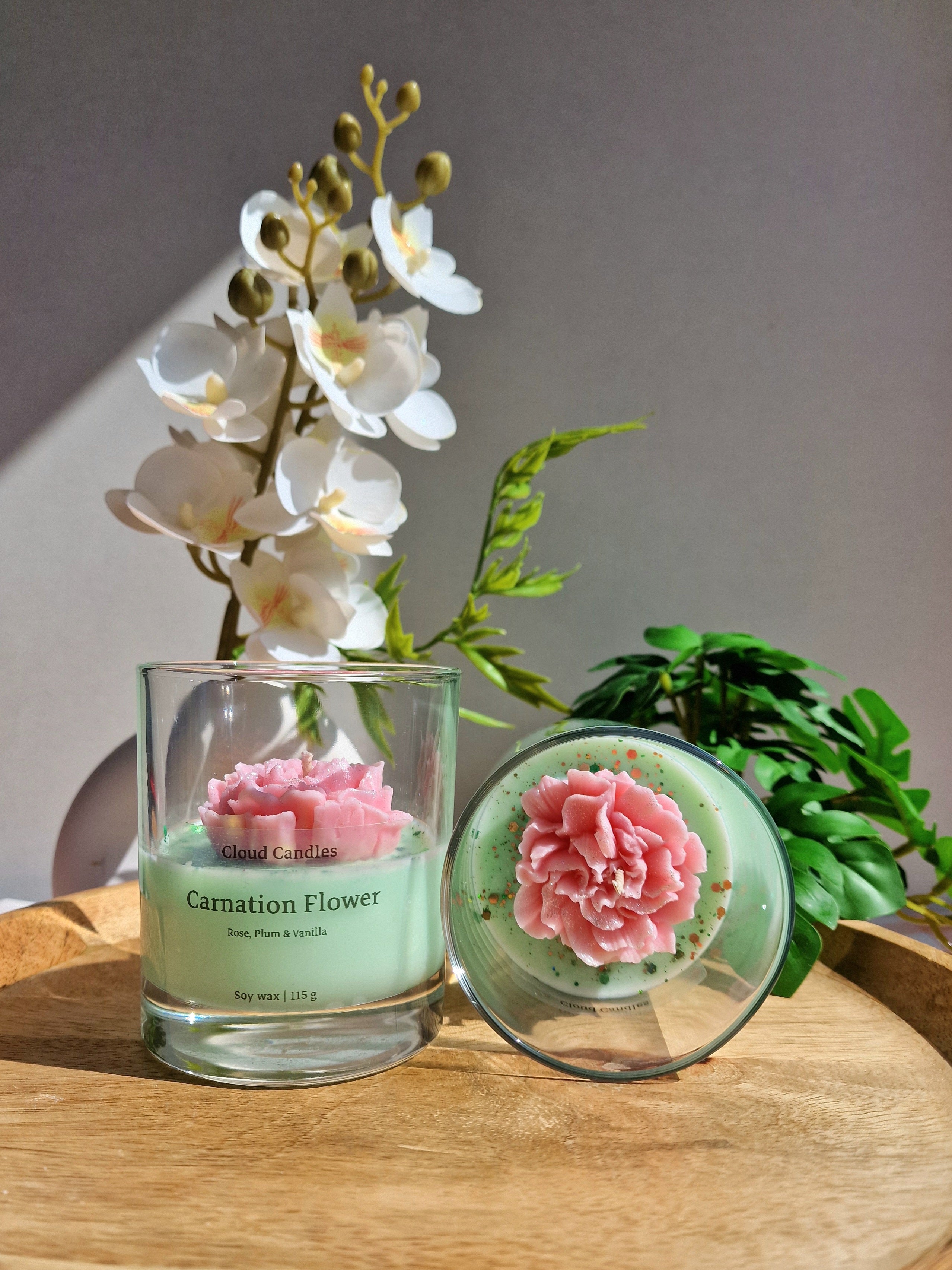Carnation Flower