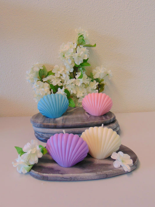 Seashell