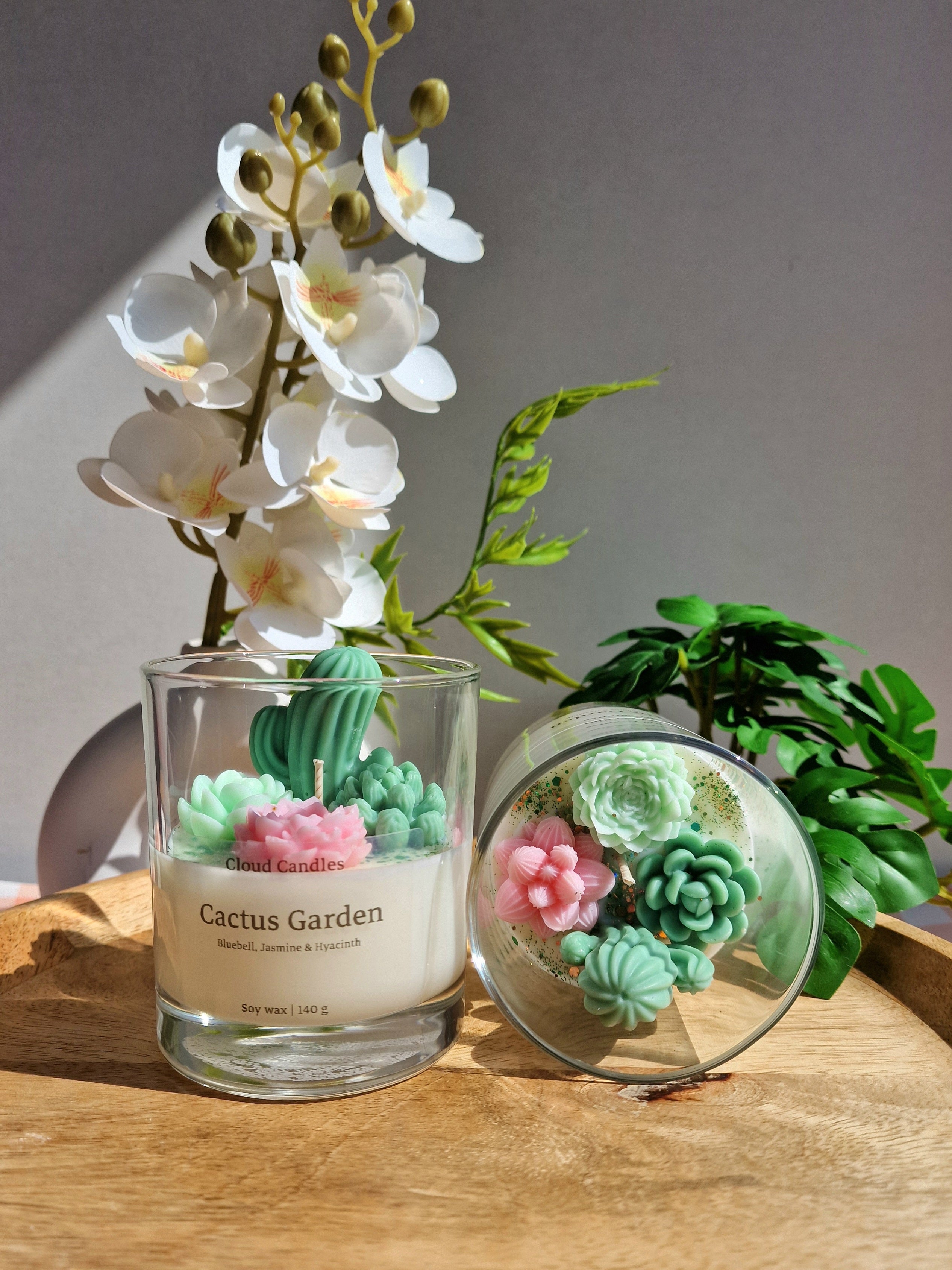 Cactus Garden