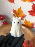 Sammy Ghost Cat