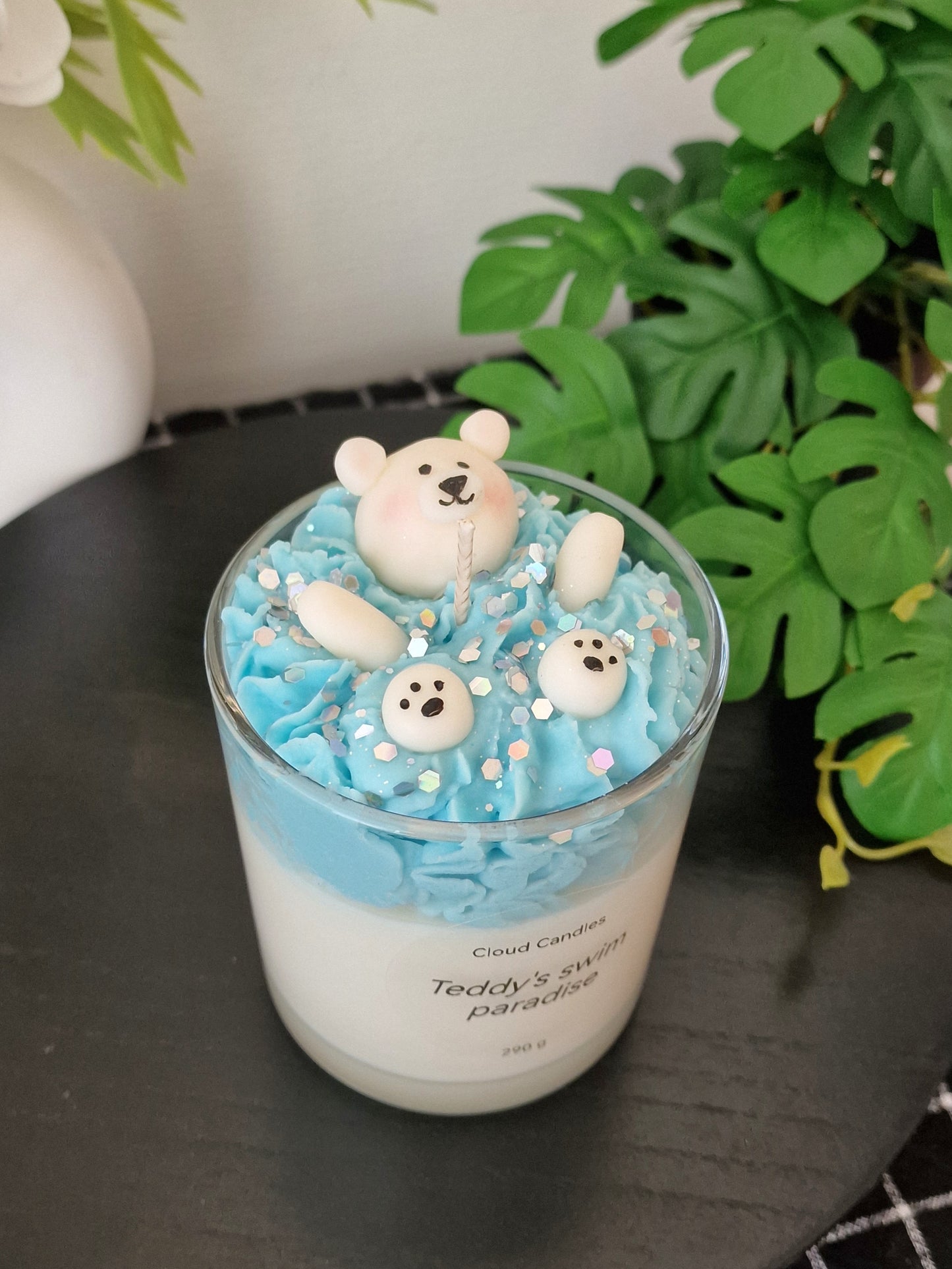 Teddy's Swim Paradise