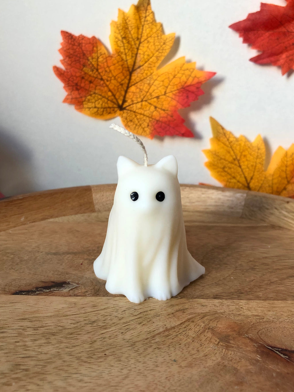 Sammy Ghost Cat