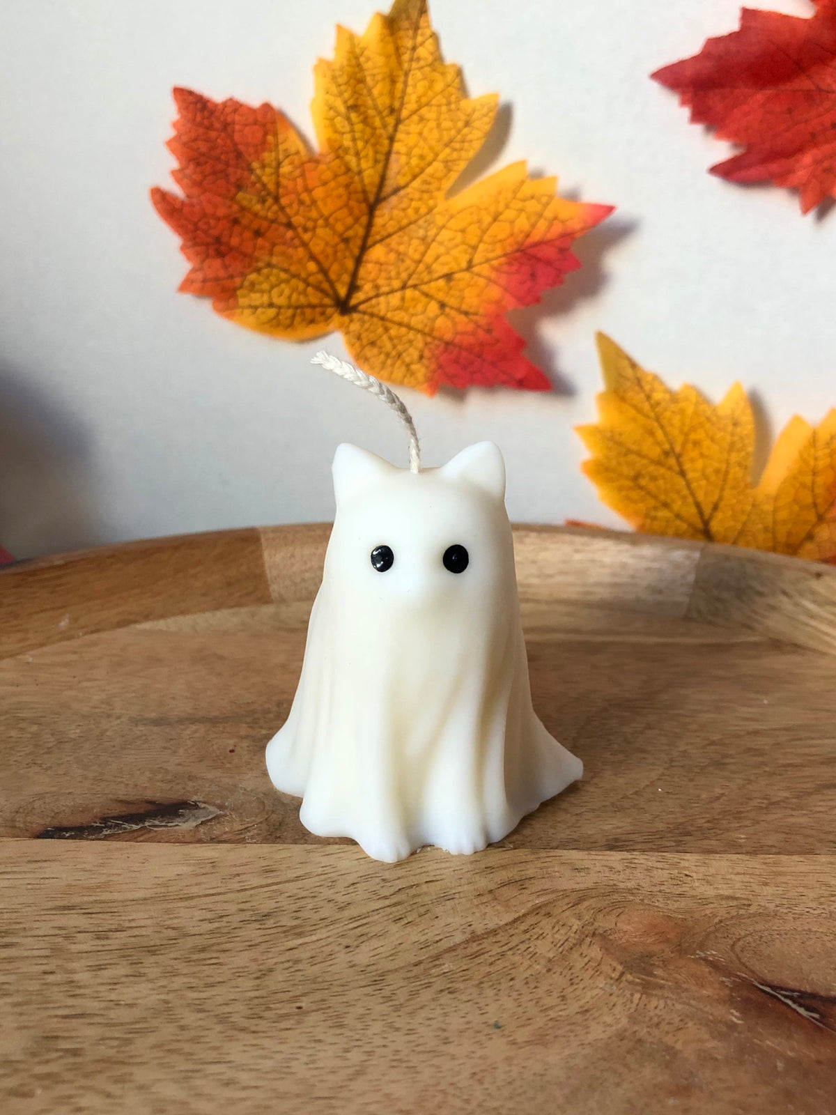 Sammy Ghost Cat